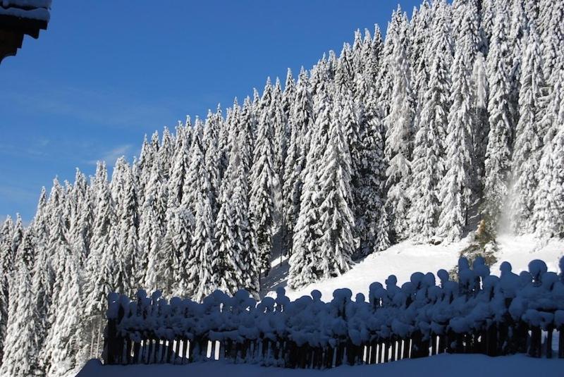 Appartamenti Chalet Orchidea กานาเซย์ ภายนอก รูปภาพ